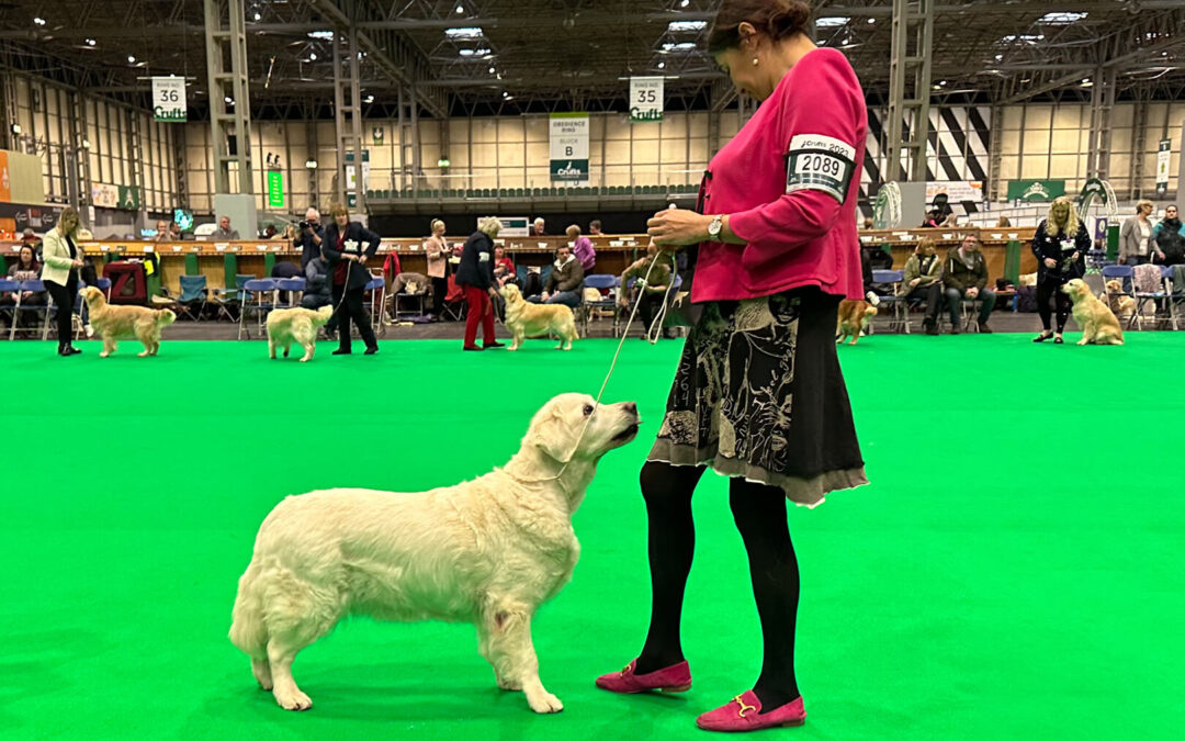 9 March 2023: Crufts Birmingham (UK)