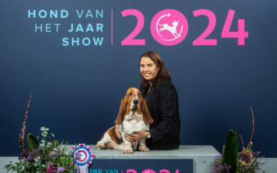 16 February 2025: Dog of the Year Show (NL)