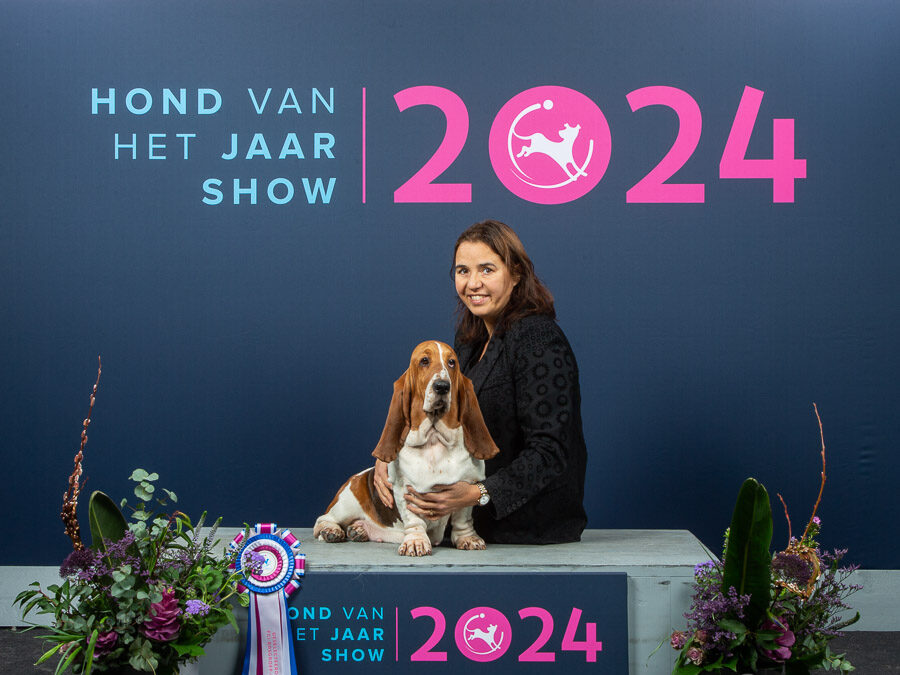 16 February 2025: Dog of the Year Show (NL)