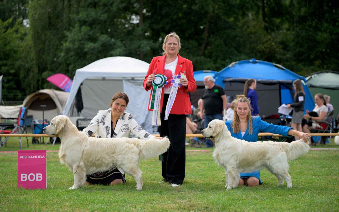 17 Augustus 2025: Dogshow Rotterdam (NL)