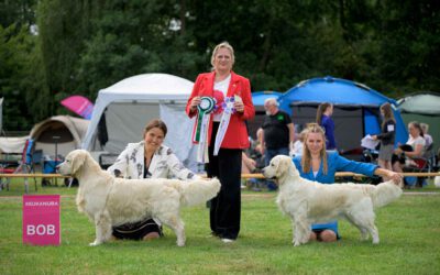 17 Augustus 2025: Dogshow Rotterdam (NL)