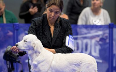 27 & 28 September 2025: Dogshow Maastricht (NL)