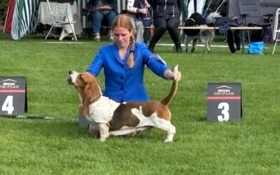 13 September 2025: Outdoor Zwolle (NL)