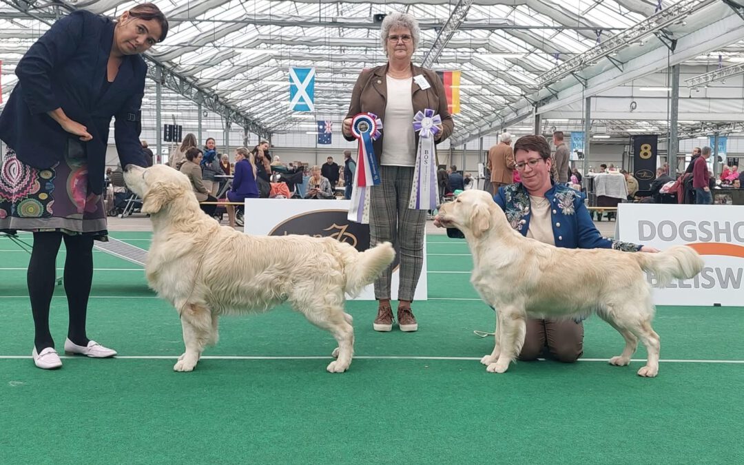 1 & 2 November 2025: Dogshow Bleiswijk (NL)